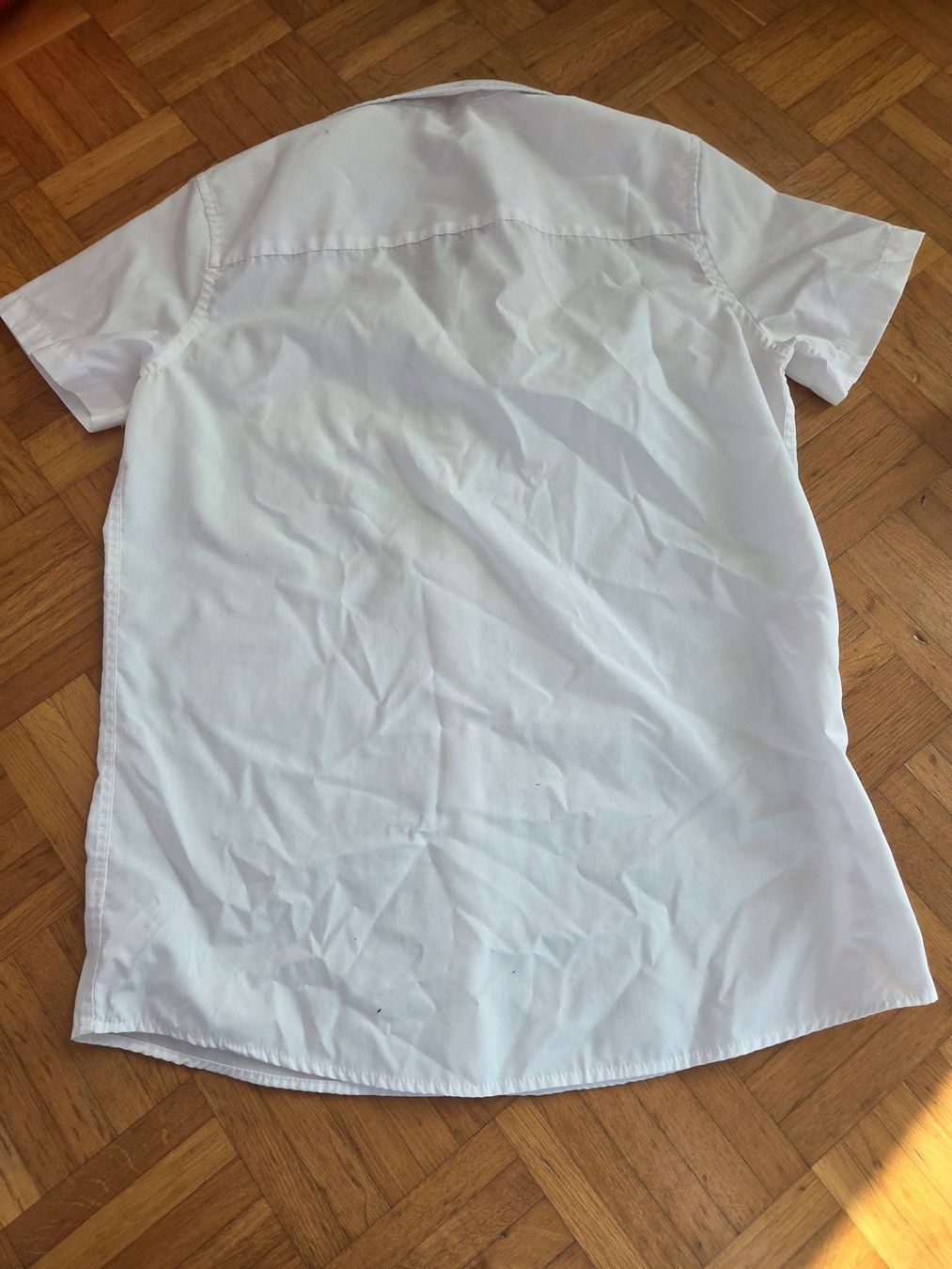 Camicette: 2 Blusen Gr. 158 – Usato da Basel venduto da grandfamily 2