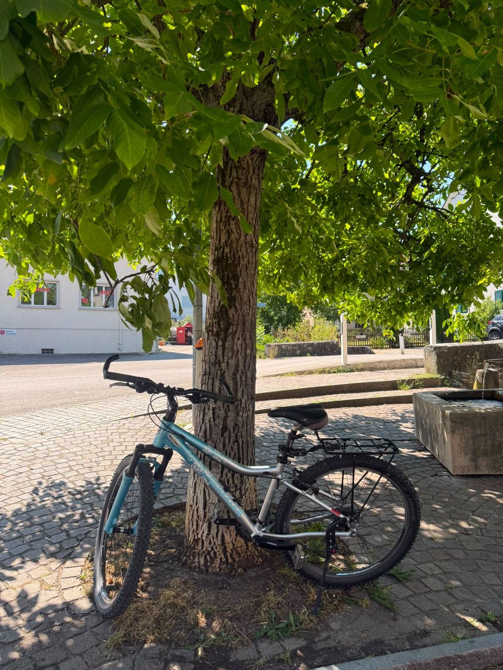 Biciclette: Wheeler Mountainbike – Usato da Spreitenbach venduto da Subswiss 1
