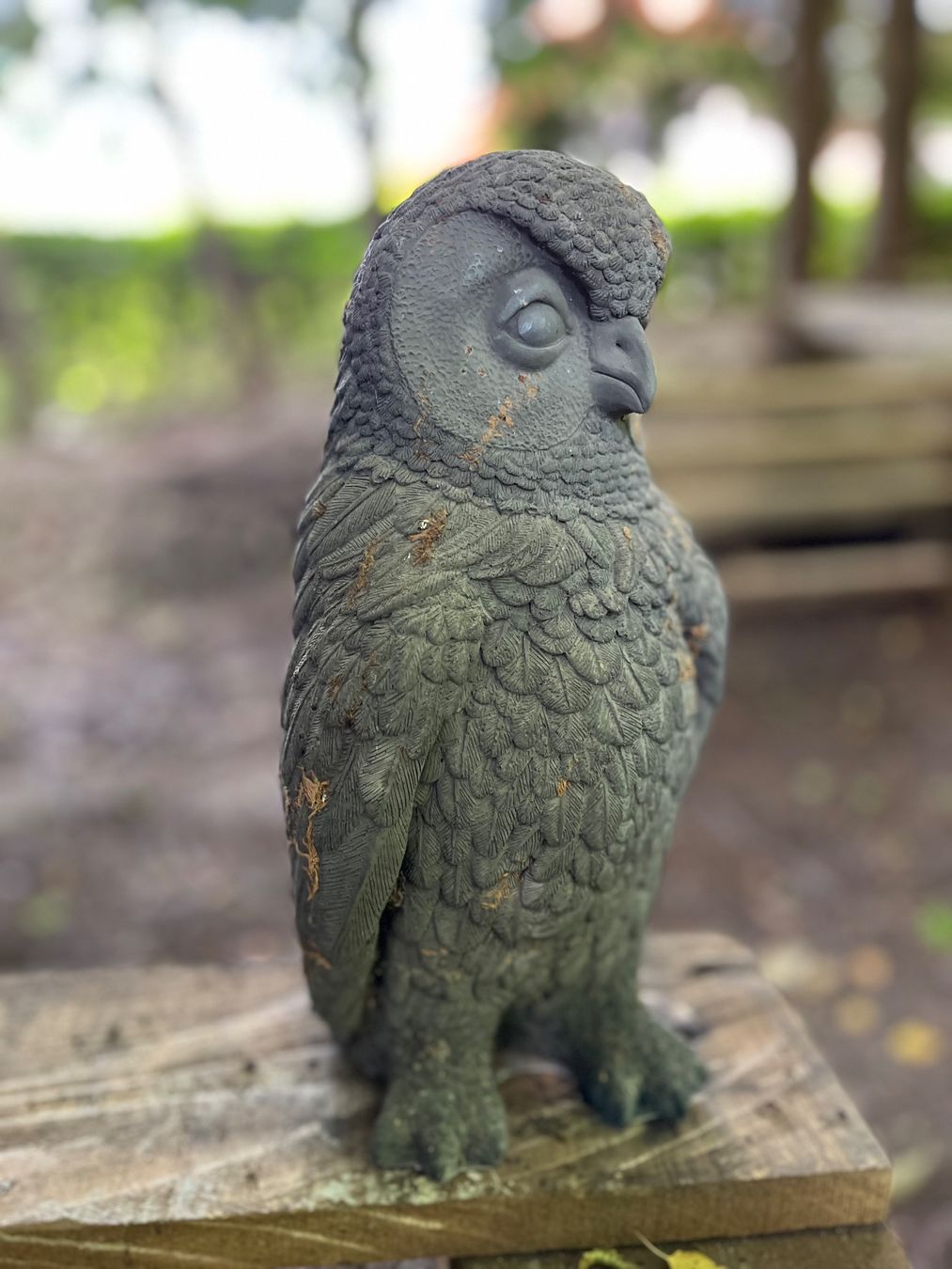 Alle Dekorationen: Eule, Figur, Dekoration – Gebraucht aus Oberentfelden von Fabianbeboux 2