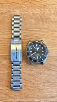 Tudor Pelagos