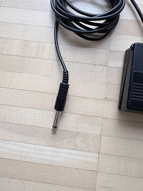 Roland Strumenti musicali: Fusspedal Sustain – Usato da Zürich venduto da h4llo 2