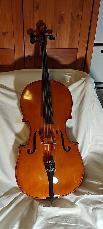 Strumenti musicali: Kleines Cello 65 cm aus einer Instrumentensammlung – Usato da Münchenstein venduto da s3bas7ian