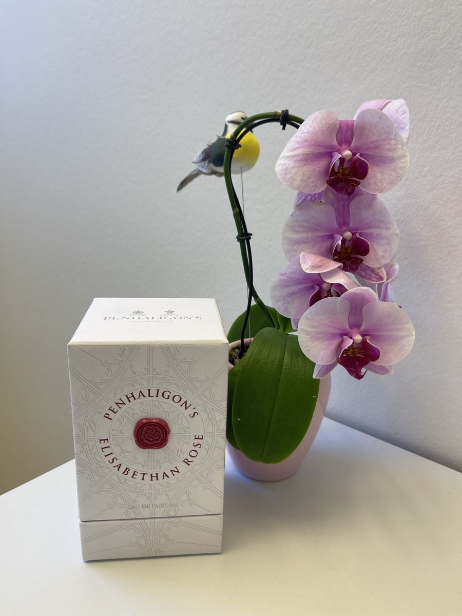 Penhaligon's Profumi & Eau de Toilette: Penhaligon Elisabethan Rose NEW 100ml – Nuovo (secondo la descrizione) da Maur venduto da Ilim88 1