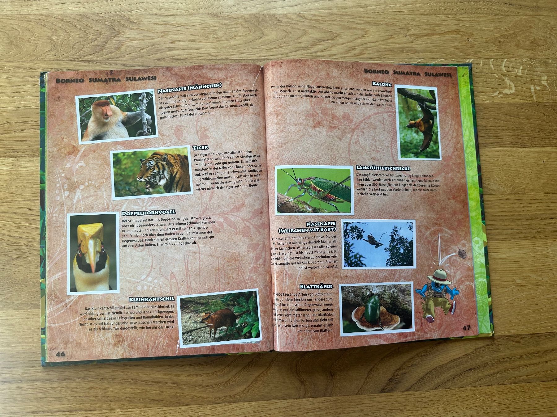 Libri: Regenwald Buch – Usato da Falera venduto da duca73 3