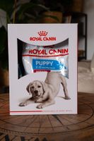 Hundewelpenfutter - Royal Canin Puppy Medium