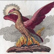 Profile image of Jogi1987
