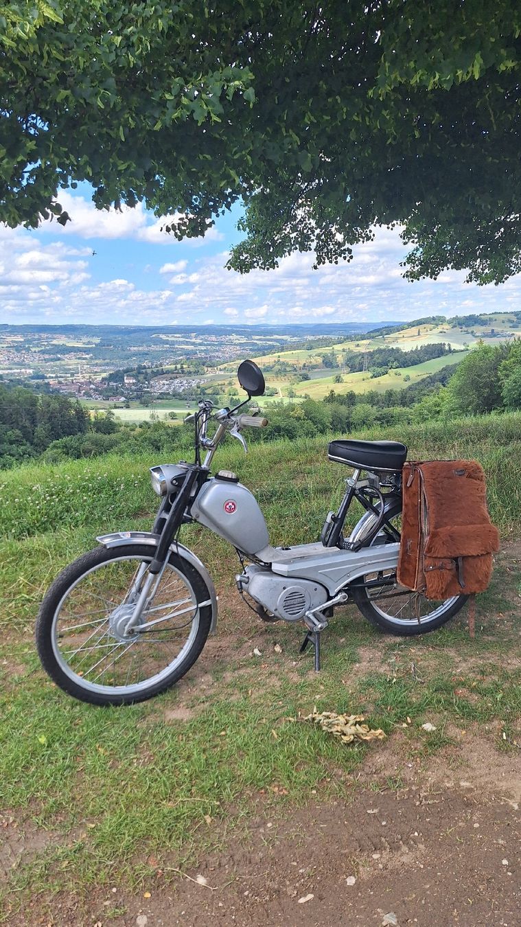 Sachs Ciclomotori: Sachs 503 2 Gang HG. – Usato da Sisseln AG venduto da Wmu