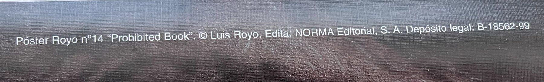 Foto & Immagini: Poster Luis Royo Nr. 14 - "Prohibited Book" – Nuovo (secondo la descrizione) da Oftringen venduto da Vucki 2