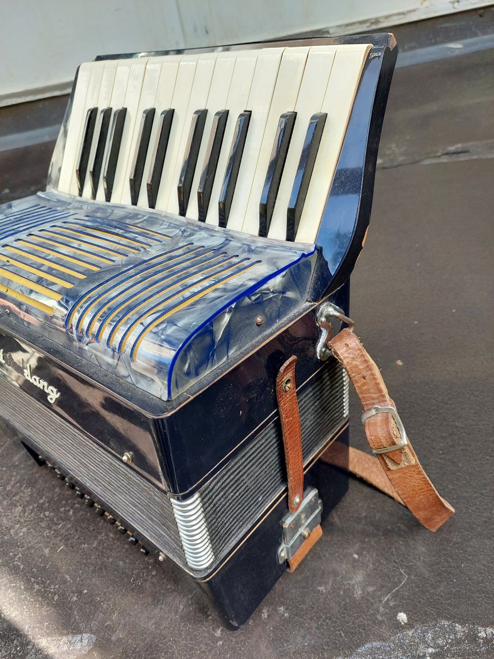 Strumenti musicali: Akkordeon, Ludwig Meisterklang – Usato da Davos Platz venduto da wauwauin 2