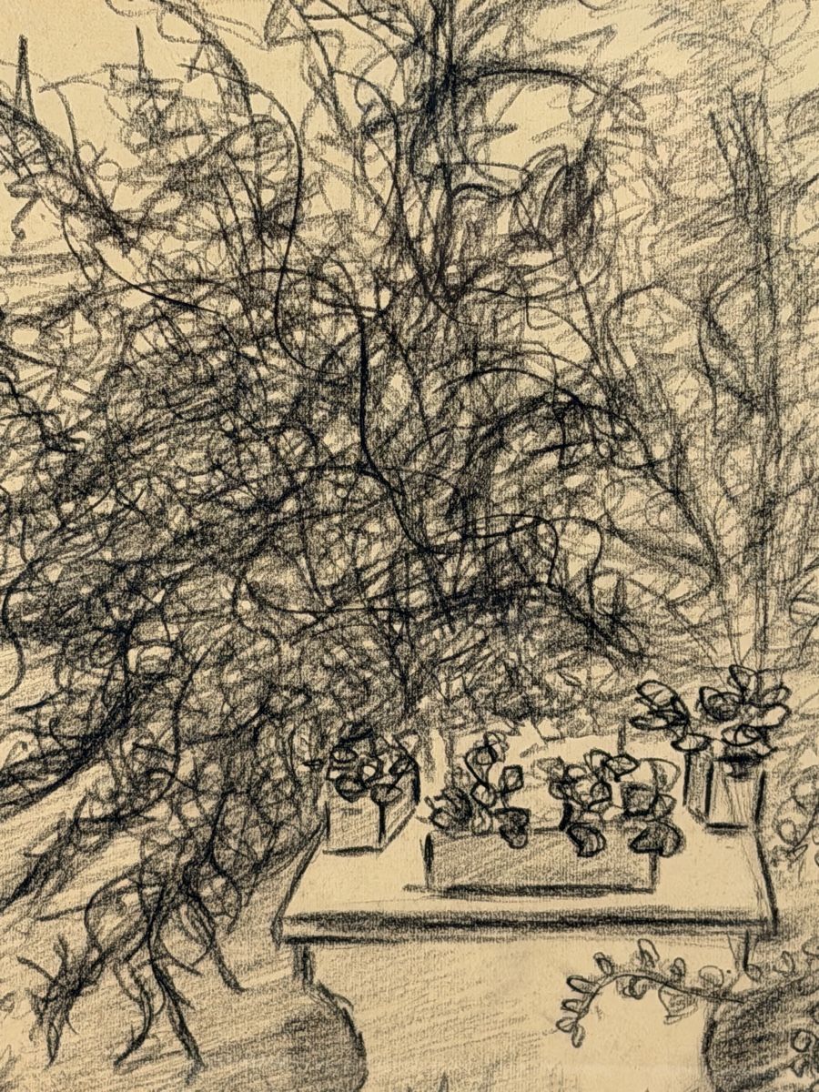 Dipinti: Original Charcoal Drawing, signed - Nature Scene Artwork – Usato da Lausanne venduto da artnouveau05 1