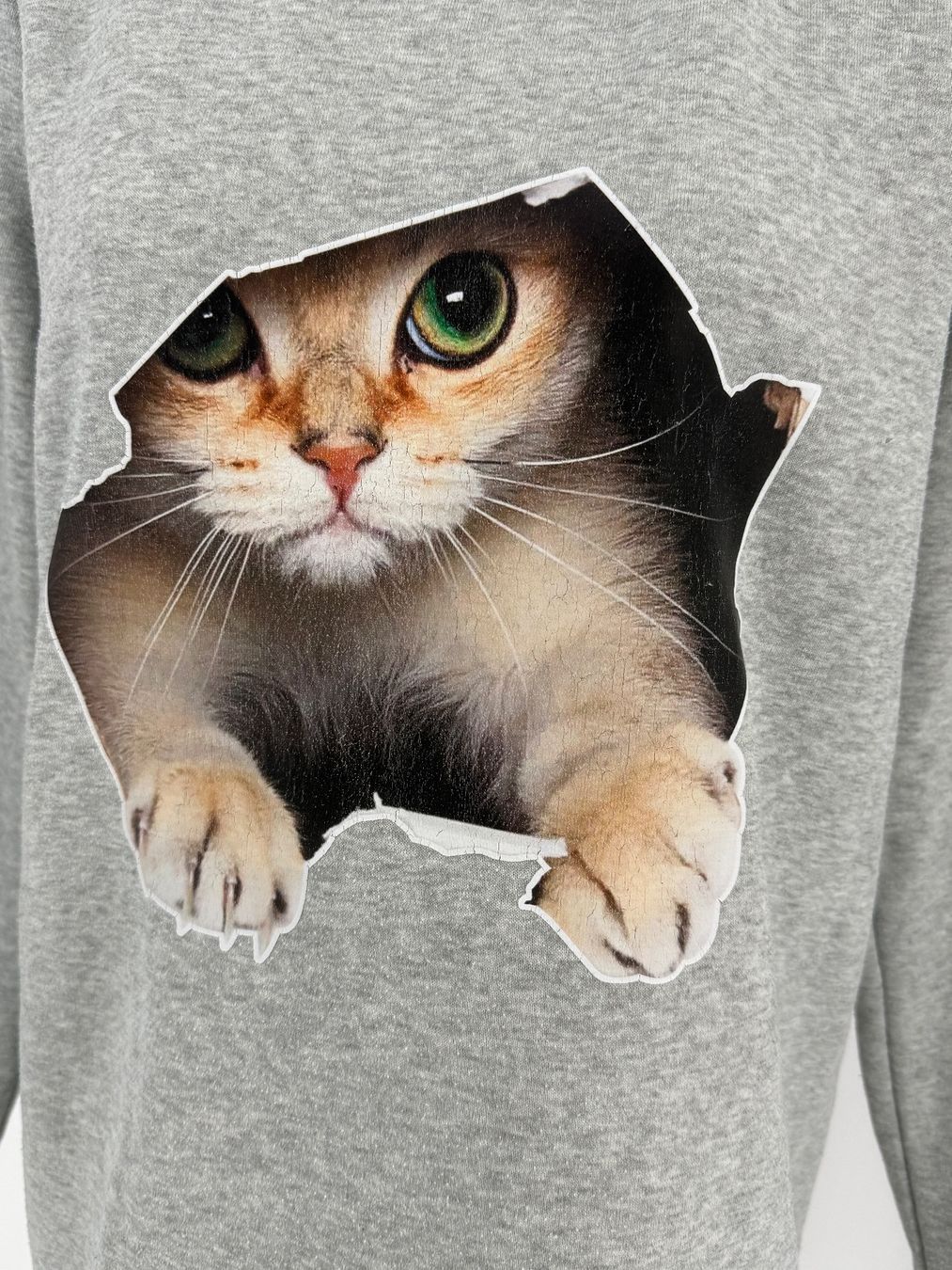 Pullover & Sweatshirts: Pullover mit Katzenmotiv Gr. M – Gebraucht aus Auenstein von moin. 1
