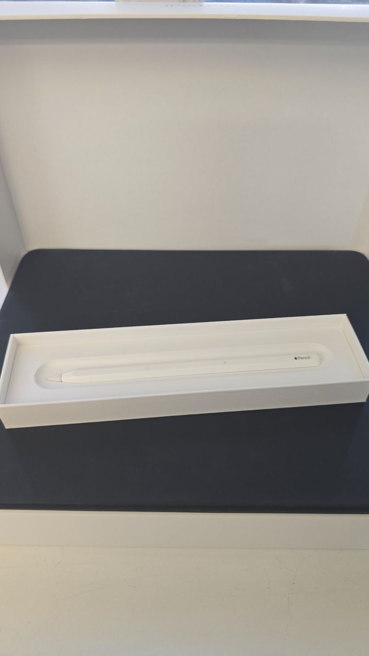 Apple Tablet PC: iPad Pro 12.9 " / Zoll, 4. Generation (8) – Gebraucht aus Winterthur von GreenSkyline 3