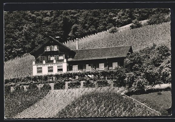 Ansichtskarten: AK Weiningen, Restaurant Winzerhaus – Gebraucht aus Berlin von bartko-reher