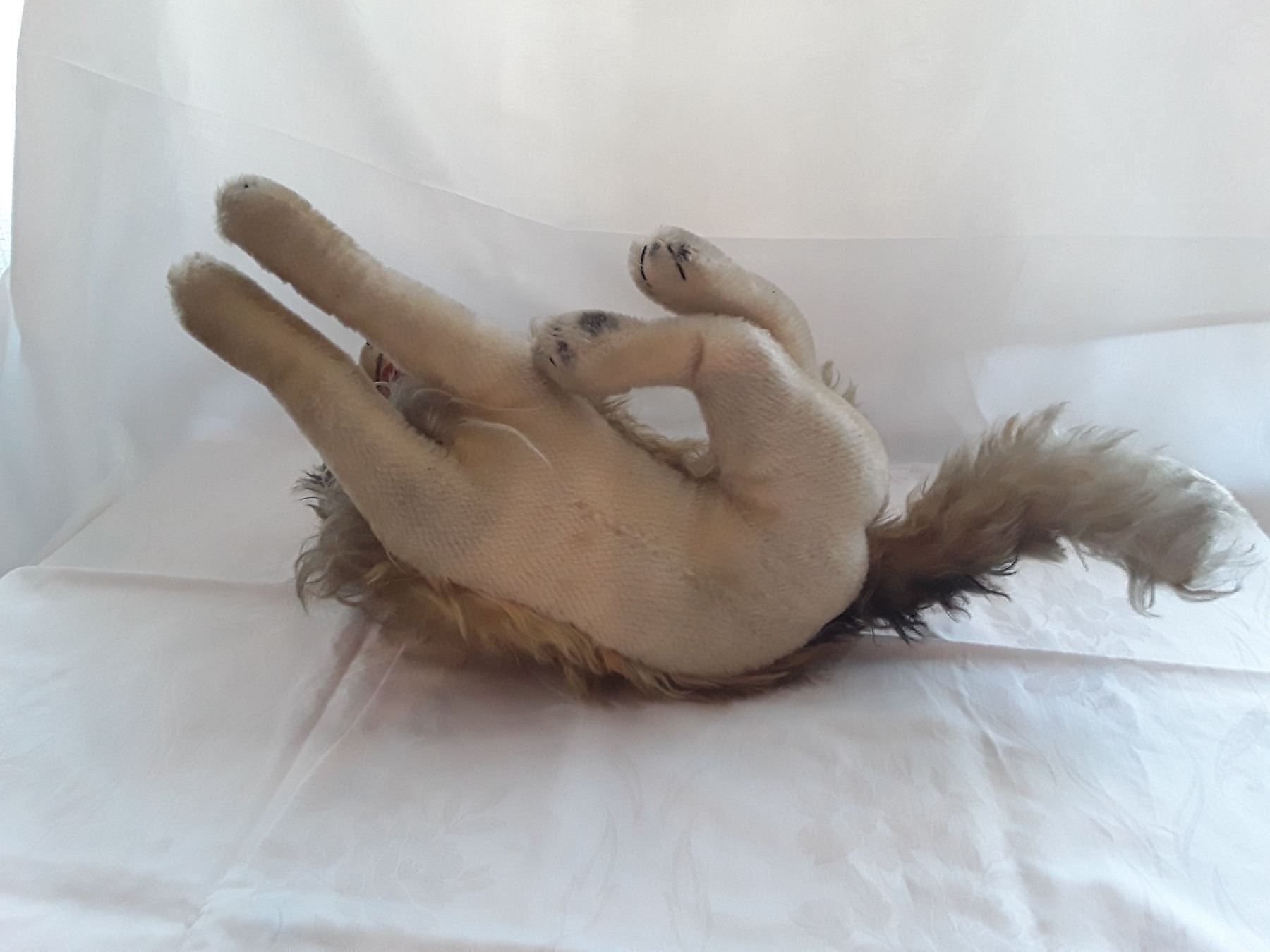 Steiff Giocattoli: Steiff collie – Usato da Basel venduto da dept 5