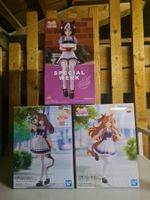 LAST PRICE! Uma Musume Pretty Derby Figure Set of 3