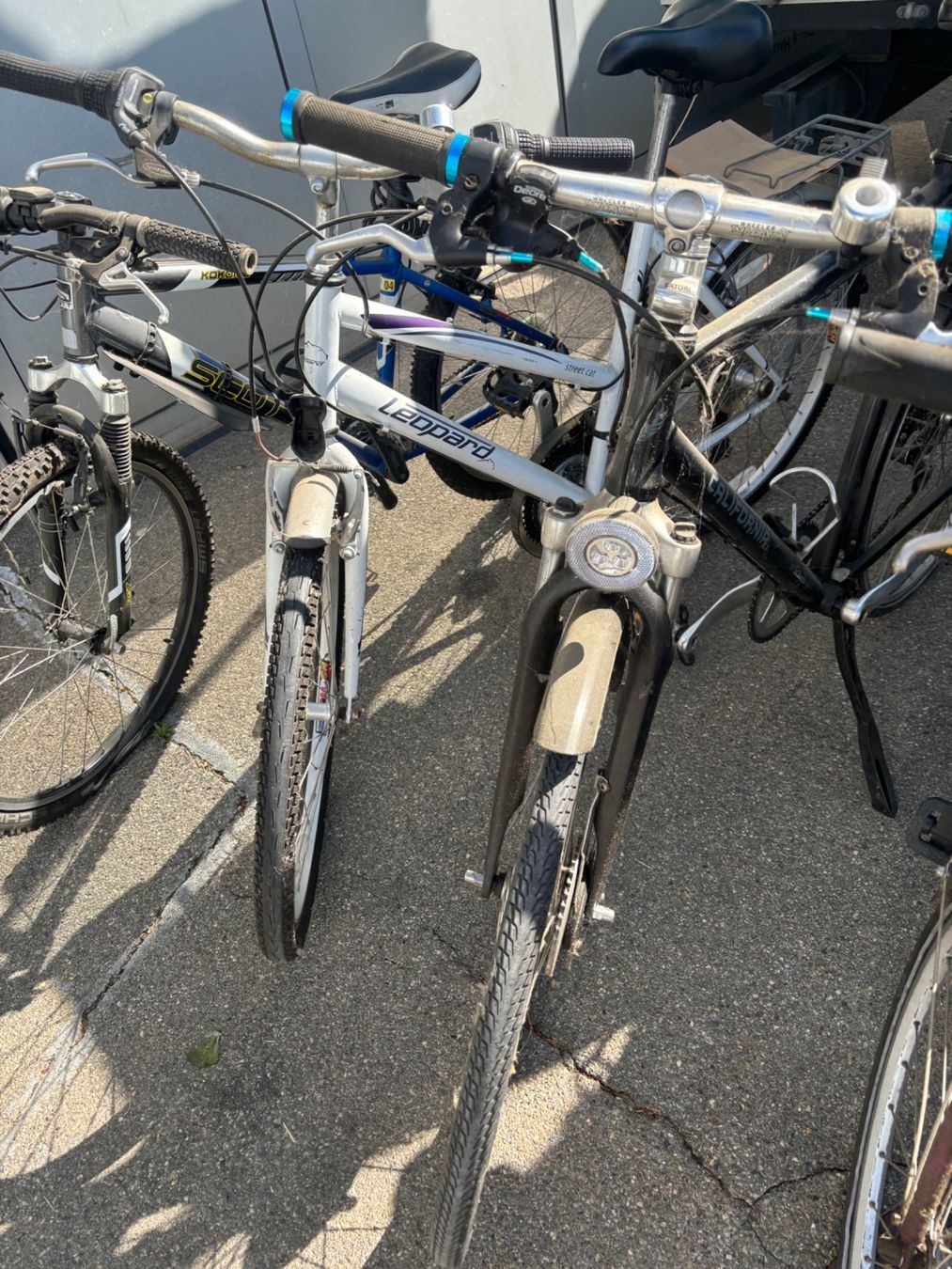 Biciclette: Velo Paket 6 Velo – Difettoso da Ostermundigen venduto da Mcone 2