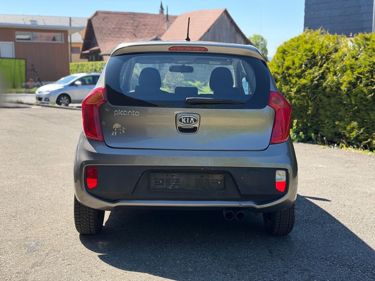 Kia Automobili: Kia Picanto (wenig Kilometer!) – Usato da Auw venduto da gea_z8qf 4