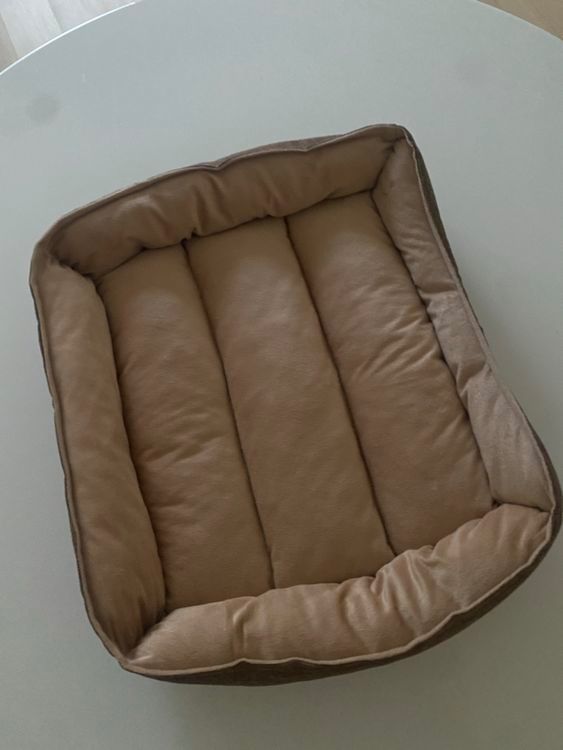 Cucce & Letti: New pet sofa/ bed – Nuovo (secondo la descrizione) da Thalwil venduto da zhe_69pd