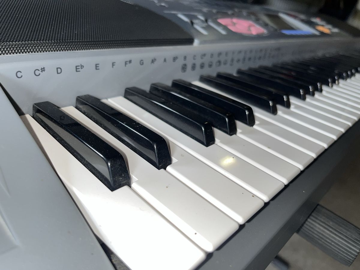 Casio Strumenti musicali: Casio WK-1200 Keyboard 🎹 – Usato da Flamatt venduto da jri_222h 2