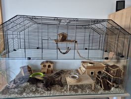 Nagerkäfig für Hamster oder Mäuse inkl. Zubehör