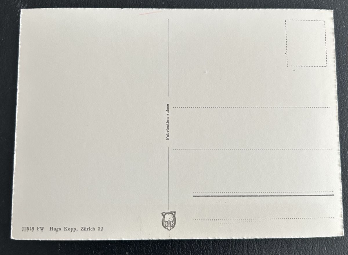 Cartoline postali: Flugaufnahme Villmergen  – Usato da Horw venduto da Tellbub 1