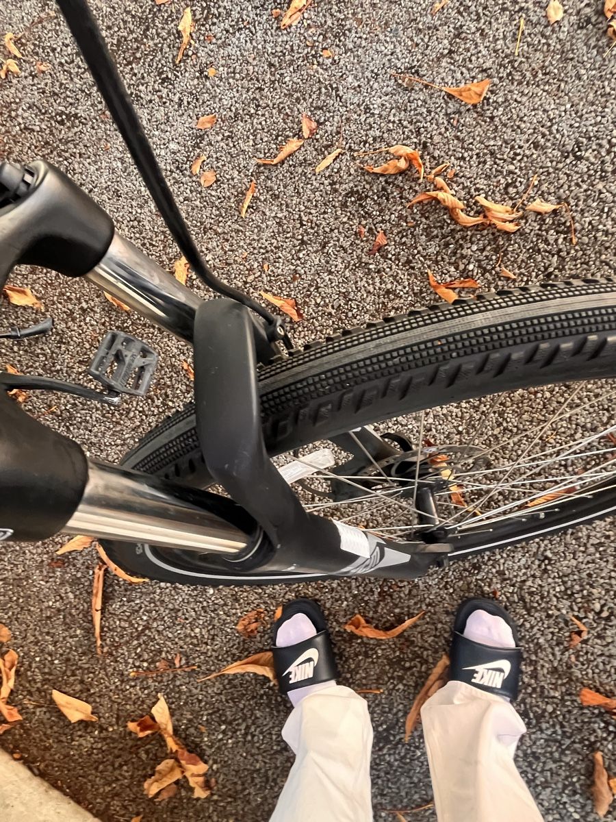 Specialized Velos: Specialized Mountainbike Grösse L/M – Gebraucht aus Riehen von butzfleischmann 3