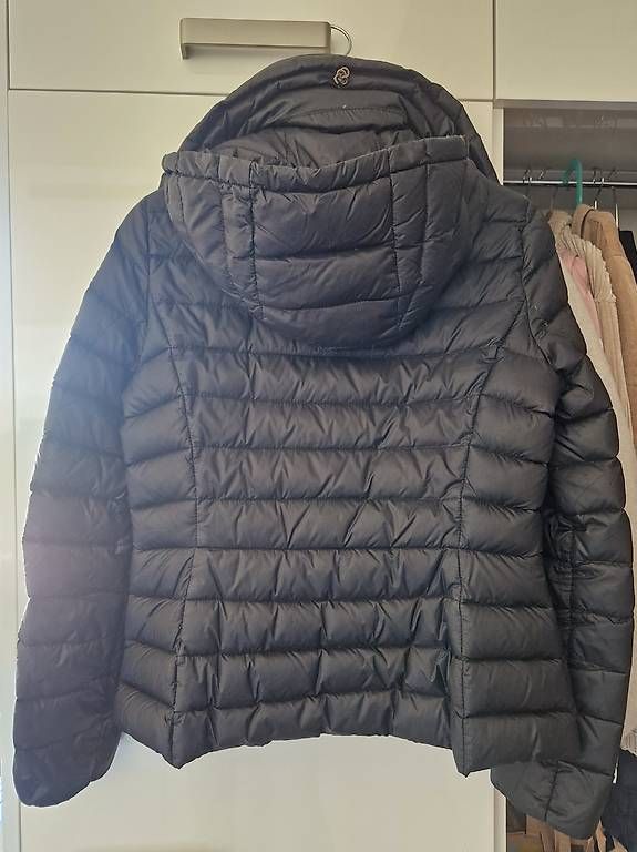 Giacche: Daunenjacke Massimo Dutti (Grösse M) – Usato da Winterthur venduto da TOPM 1