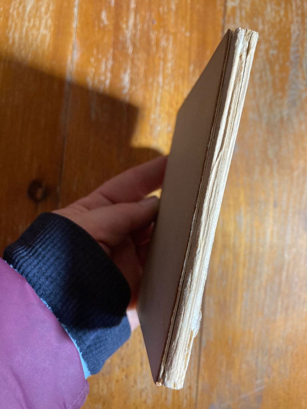 Libri: Buch Storm Gedichte illustré vintage – Usato da St-Cierges venduto da LeRegain 3