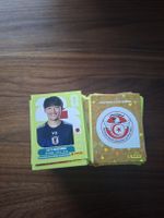 Über 400 Panini Bilder WM 2026