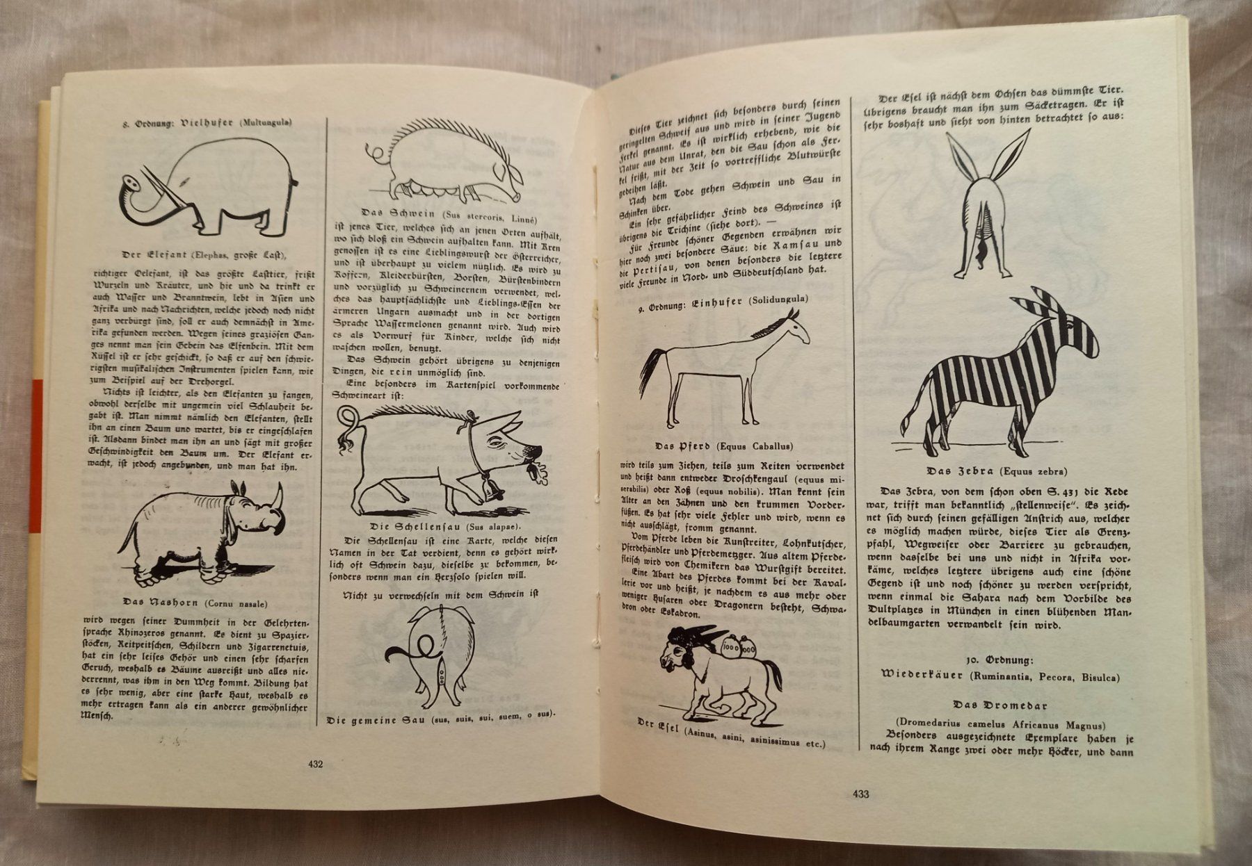 Bücher: Wilhelm Busch Album mit 987 Bildern – Gebraucht aus Binningen von mar_2jlr 8