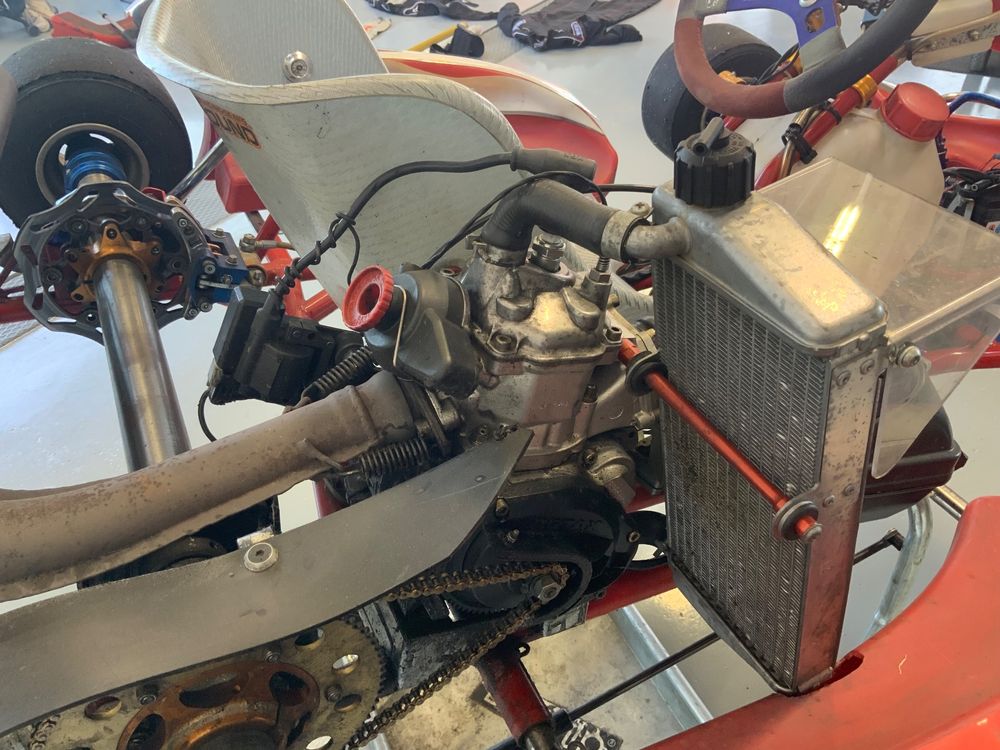 Birel Rotax Kart 125 ccm 7