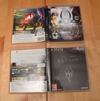 SKYRIM + Sacred 2