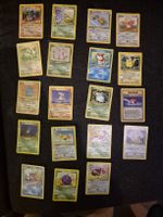 Pokemon - Dschungel Sammlung