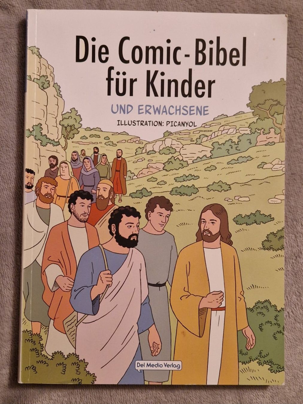Fumetti: Die Comic-Bibel für Kinder – Usato da Frauenfeld venduto da jgh_gx6v