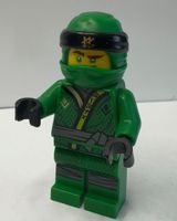 LEGO Ninjago Lloyd - Sons of Garmadon (njo0401)
