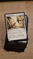 MTG Magic The Gathering Lost Cavers of Ixalan Common Set (EN