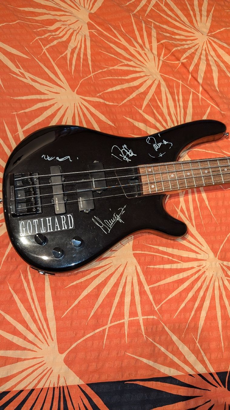 Strumenti musicali: Gotthard Bass – Usato da Sarmenstorf venduto da Bideli68 3