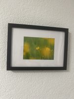 Bild von Mirandiliviaous