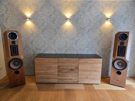 ACR RP300 Lautsprecher