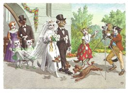 Katzenkarte - Serie Belgien - Hochzeit - Kirche - Fotograph