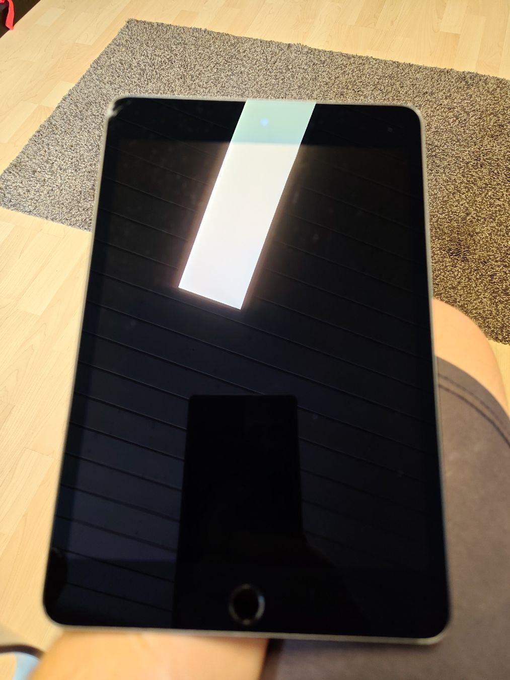 Apple Tablet PC: iPad mini Wi-Fi – Usato da Elsau venduto da ghbuur