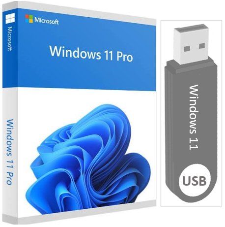 Microsoft Software: Windows 11 Pro auf USB-Stick + Lizenz – Nuovo (secondo la descrizione) da Pieterlen venduto da bervine