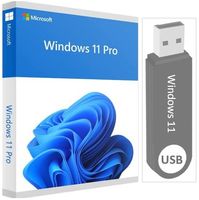 Windows 11 Pro auf USB-Stick + Lizenz