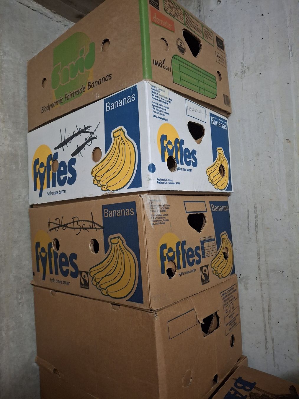 Cartoni: Bananenschachteln – Usato da Wil SG venduto da viv_qlg6