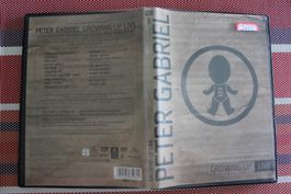 Peter Gabriel - Growing Up Live von Hamilton, Hamish | DVD |