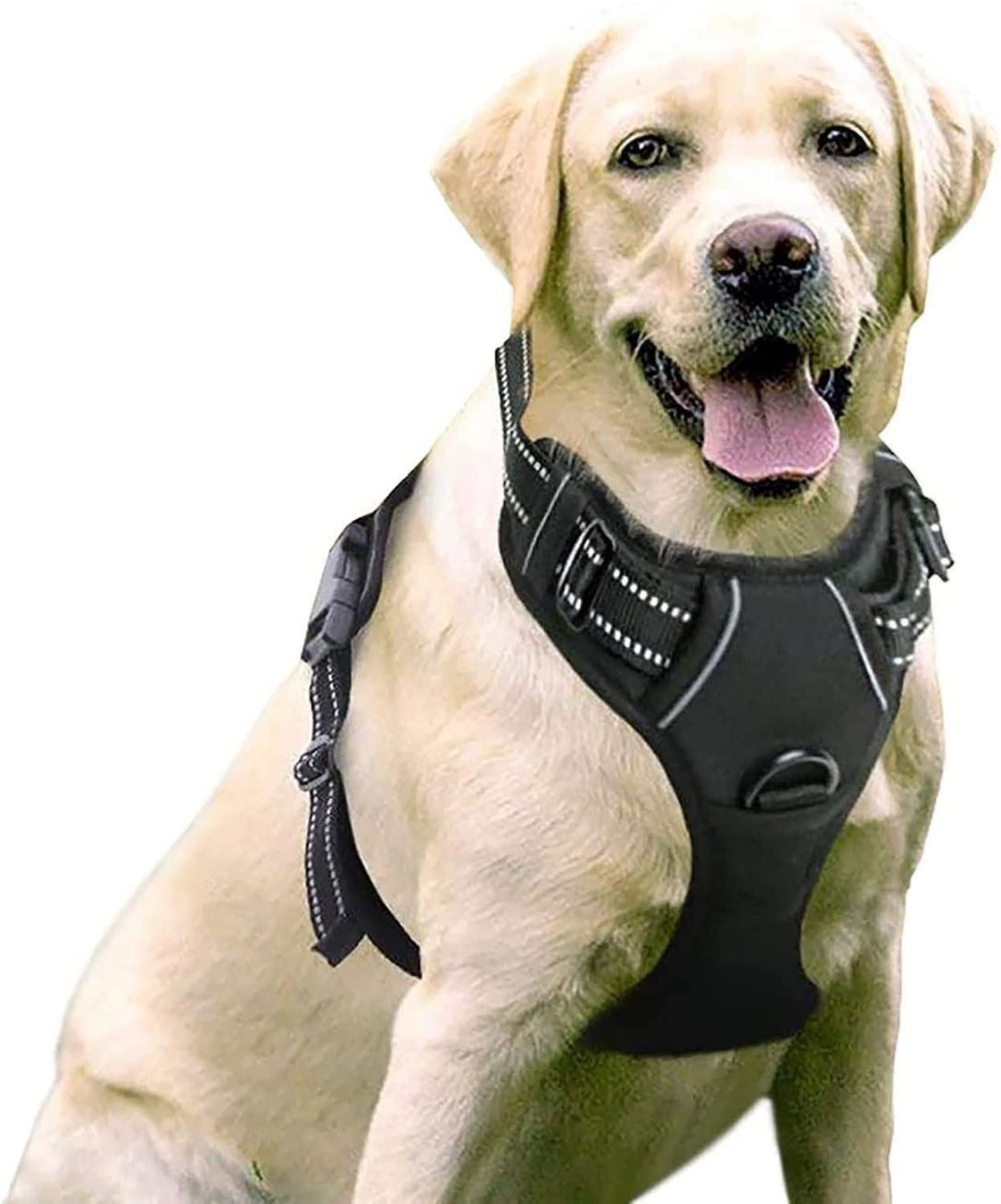 Geschirrsets: Hundegeschirr für Große Hunde Anti Zug – Neu (gemäss Beschreibung) aus Thun von Newnewshop