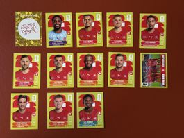 SUI 1,3,4,6,7,8,9,10,11,13,14,16,17- Panini WM 2026 - Wappen