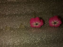 OHRRINGE MODESCHMUCK,,2 BLUMEN,,LELA FARBE