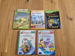 Set aus 5 Erstlesebücher 1. Lesestufe