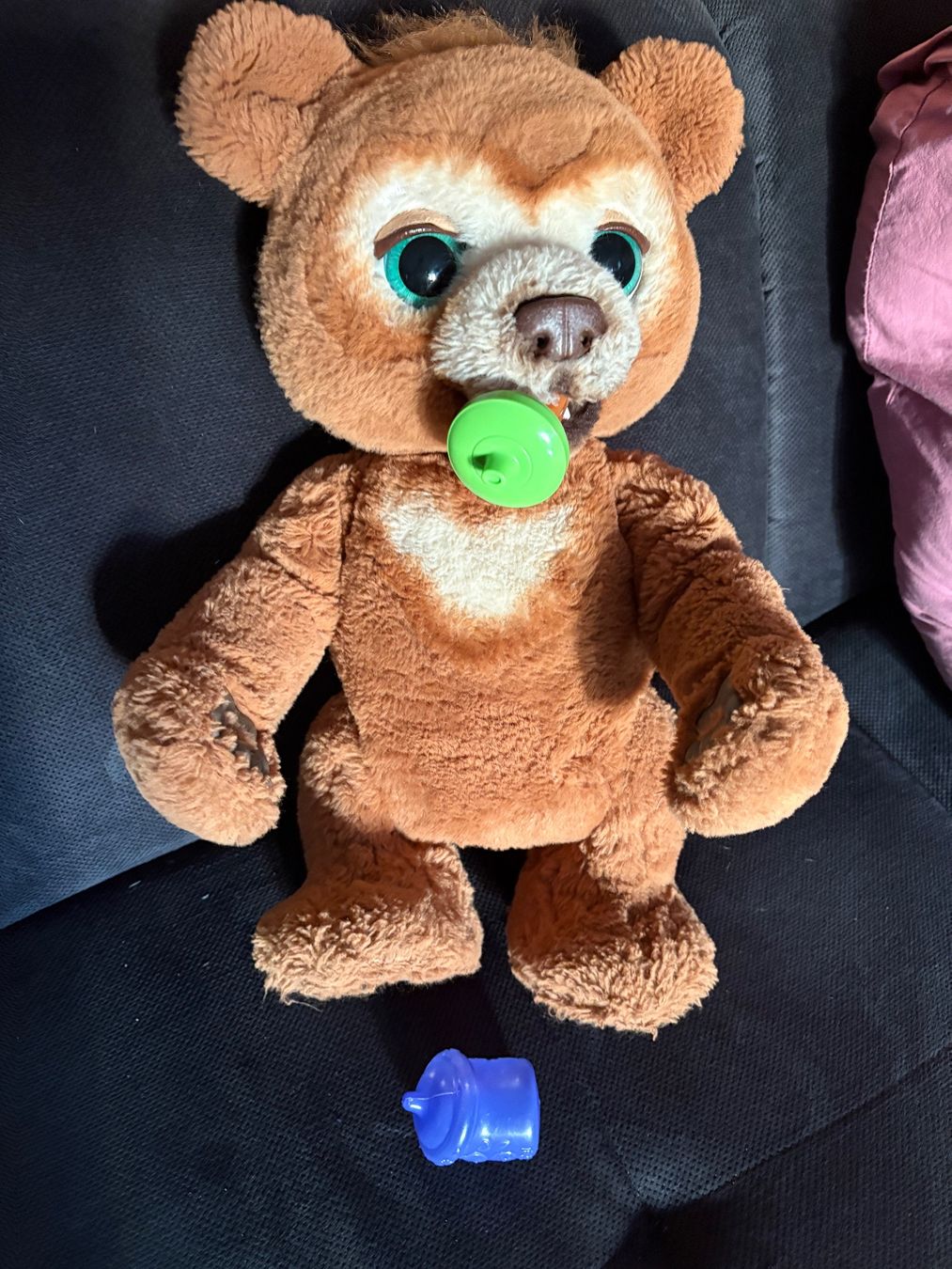 Giocattoli: Interaktiver Teddybär wo sich bewegt – Usato da Schübelbach venduto da S1CH